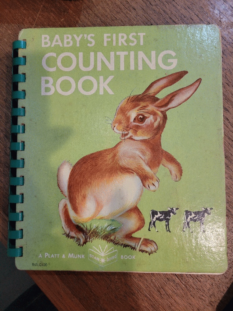 Baby's First Counting Book