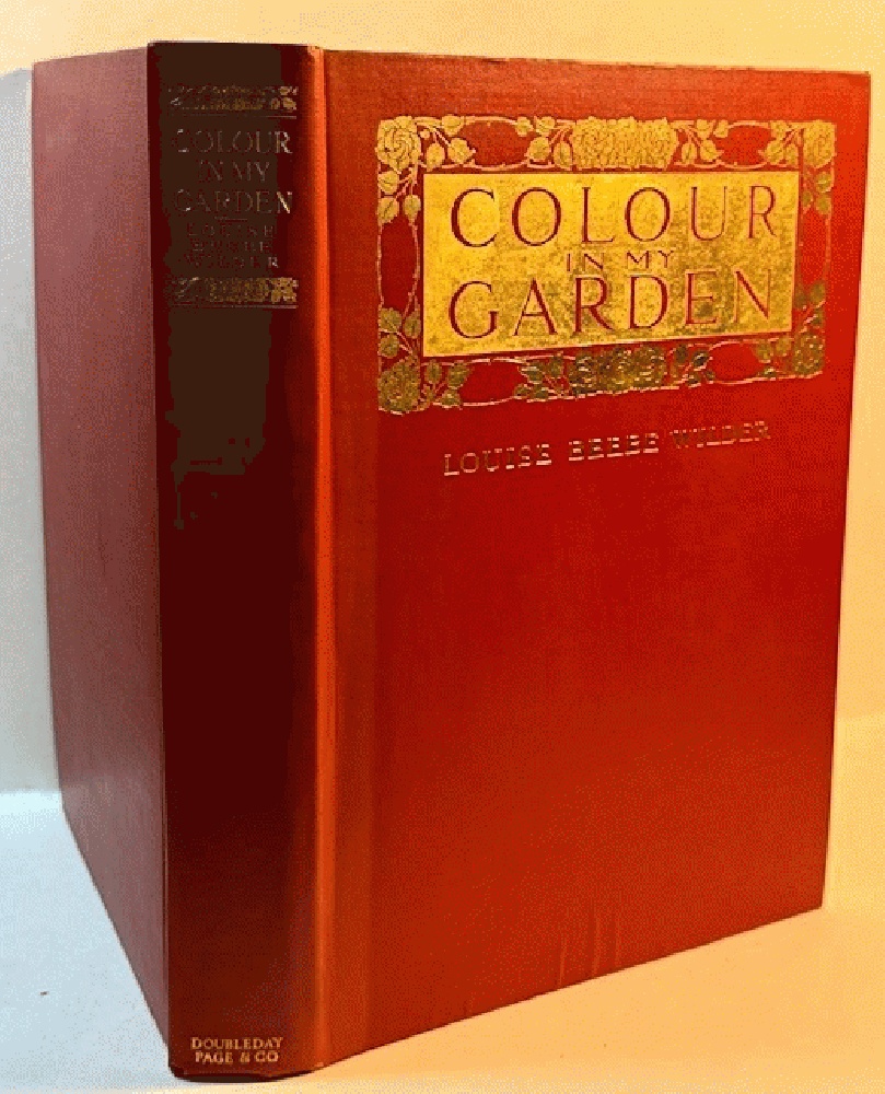 Colour In My Garden