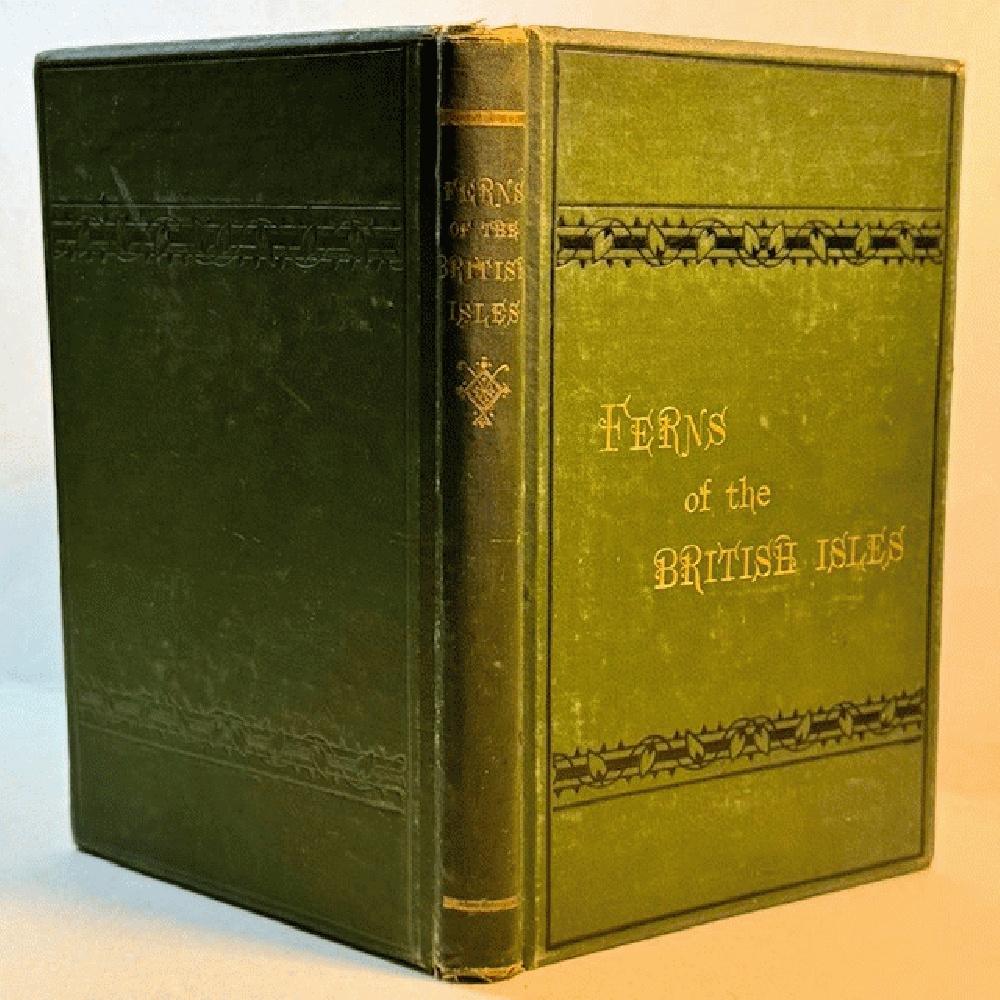 Ferns of the British Isles