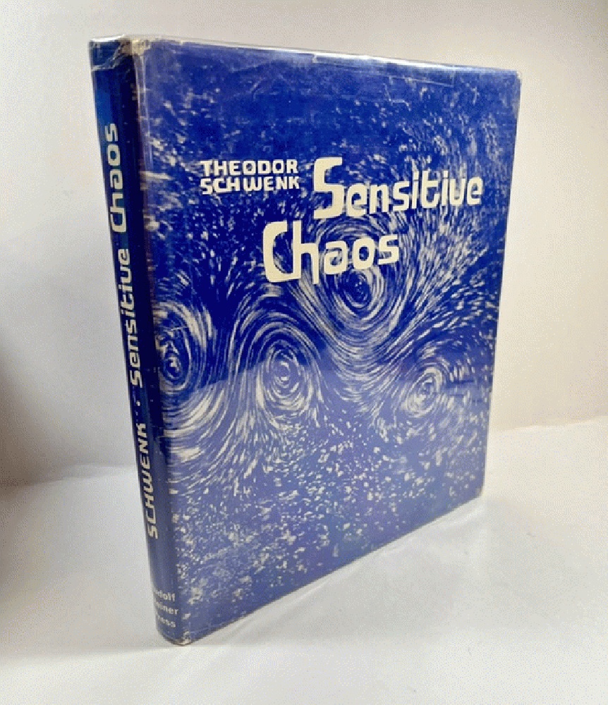 Image for Sensitive Chaos Sensitive Chaos