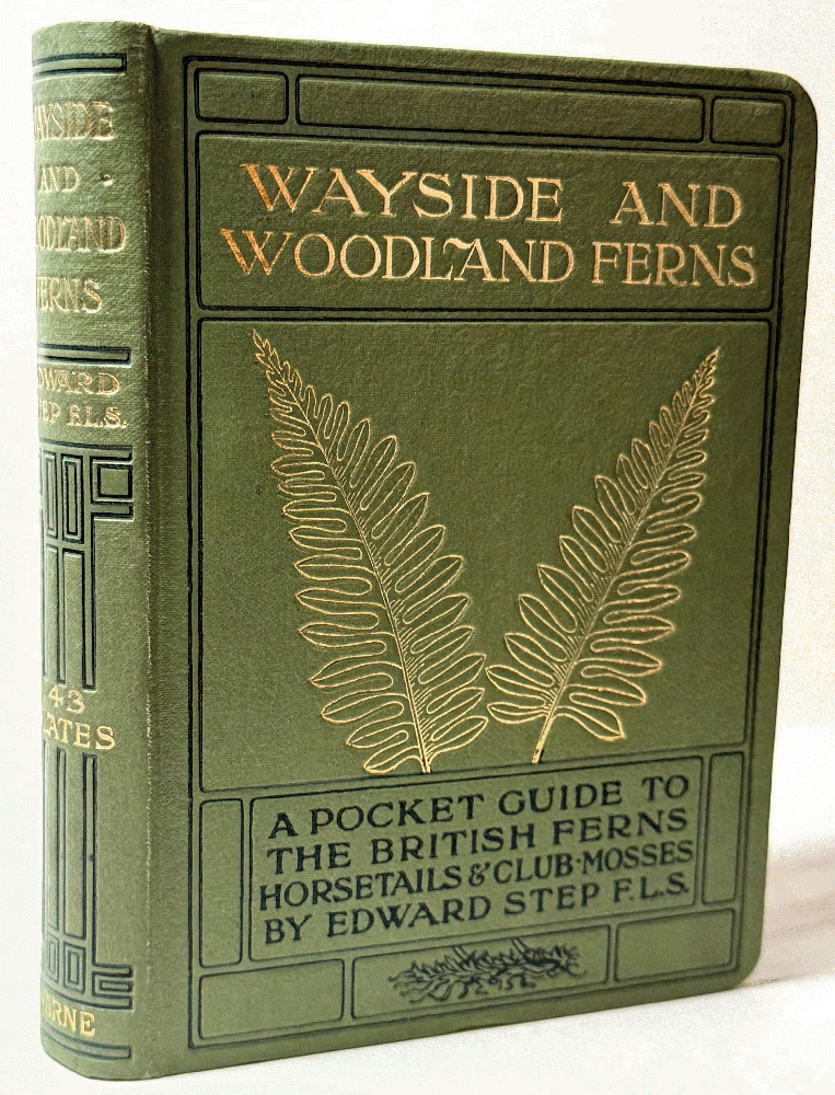 Wayside and Woodland Ferns