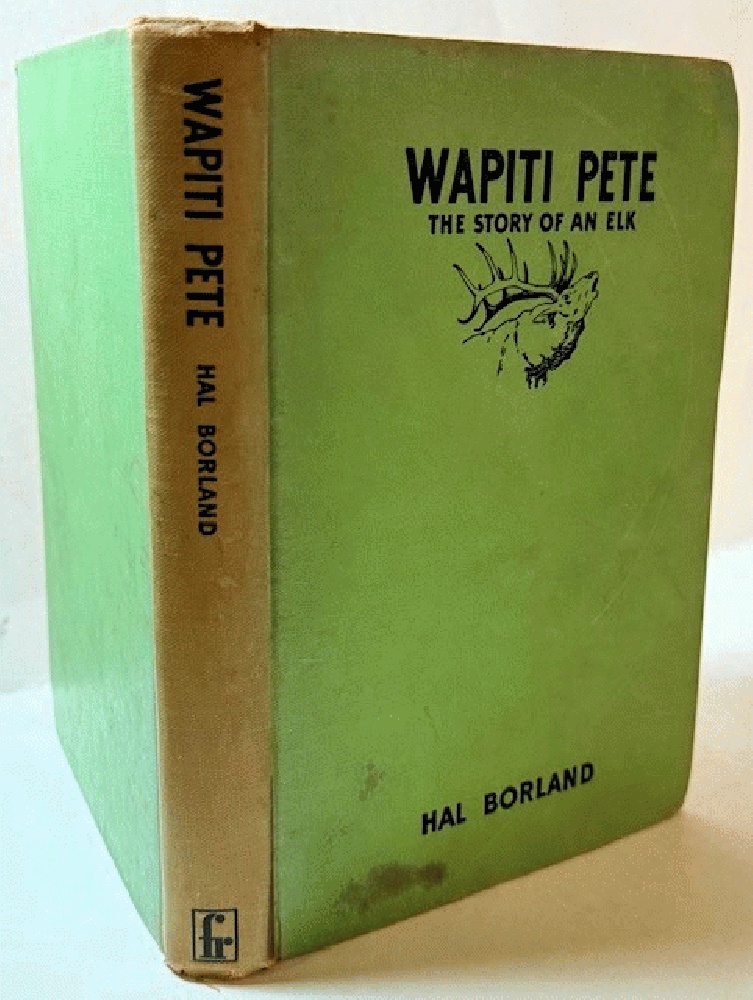 Wapiti Pete: The Story of an Elk
