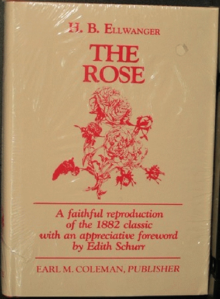 Image for The rose (Old rose series)