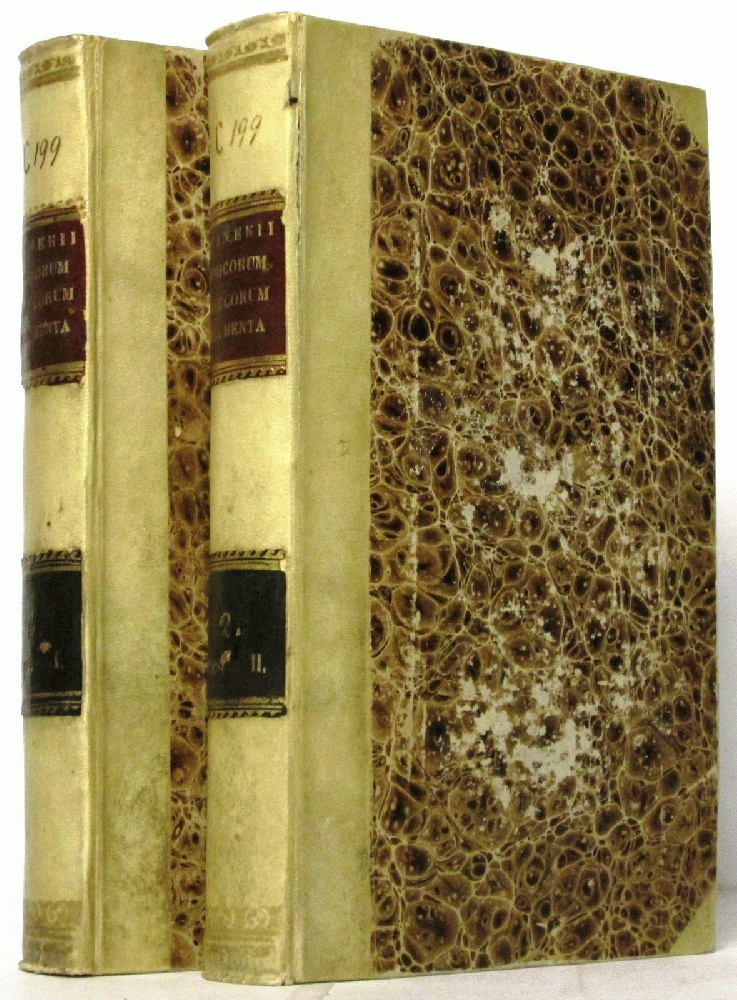 Image for Fragmenta Comicorum Graecorum Vol II Parts 1 & 2 (1839&1840)