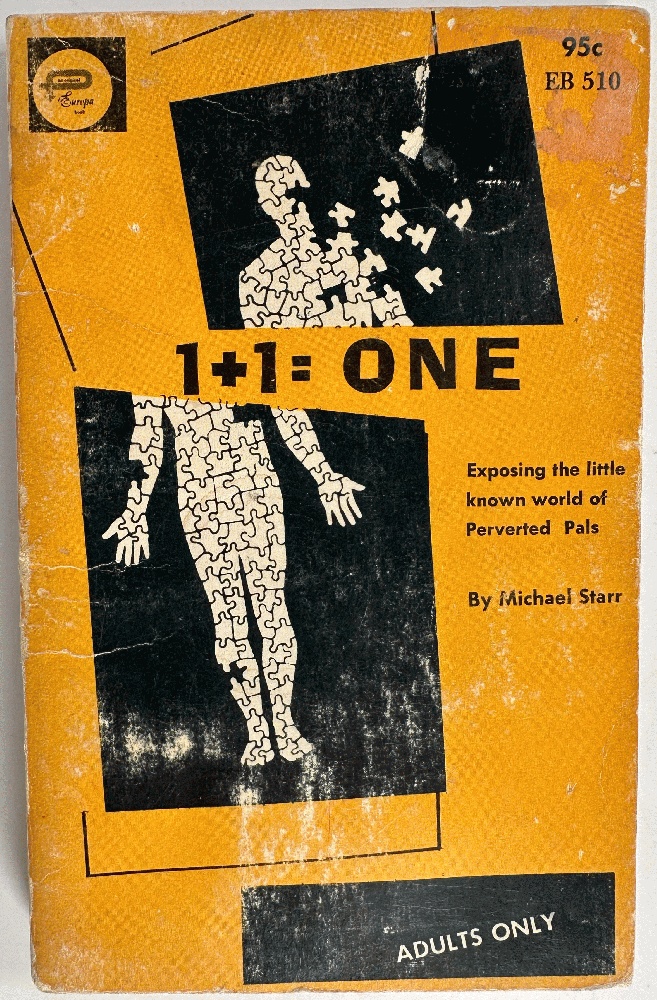 1 + 1 One (One Plus One Equals One)