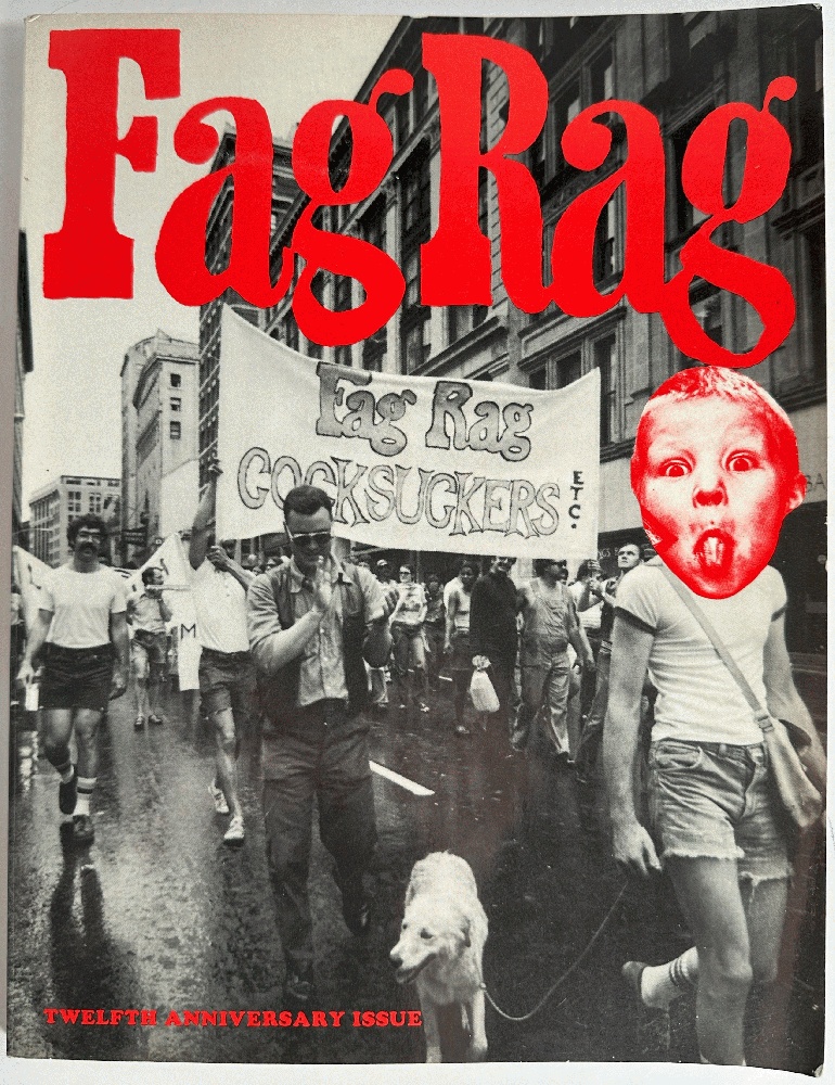 Fag Rag Twelfth Anniversary Issue Issue 30-39 + S.T.H. Supplement