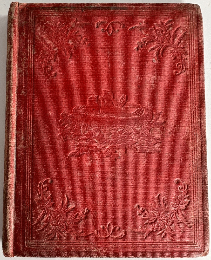 Little Robins Learning to Fly by Mrs. Madeline Leslie