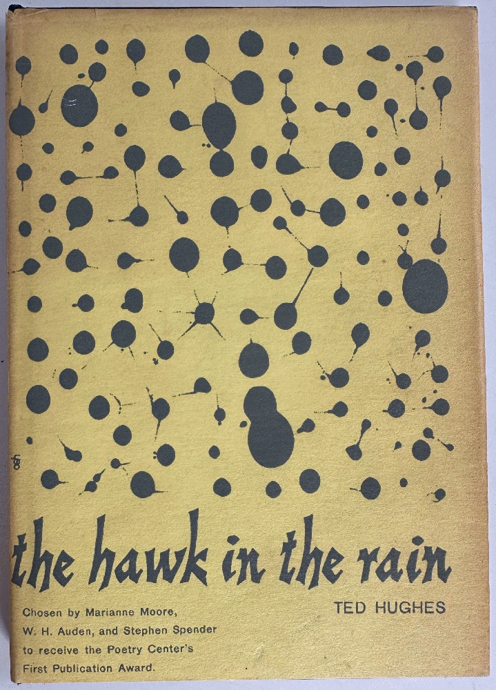 The Hawk in the Rain by Ted Hughes