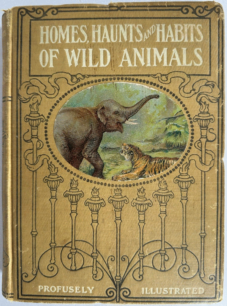Homes, Haunts and Habits of Wild Animals