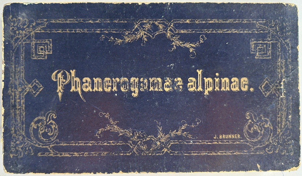 Phanerogamae Alpinae: Venance Payot