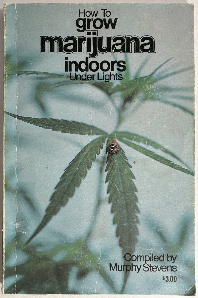 How to Grow Marijuana Indoors Under Lights