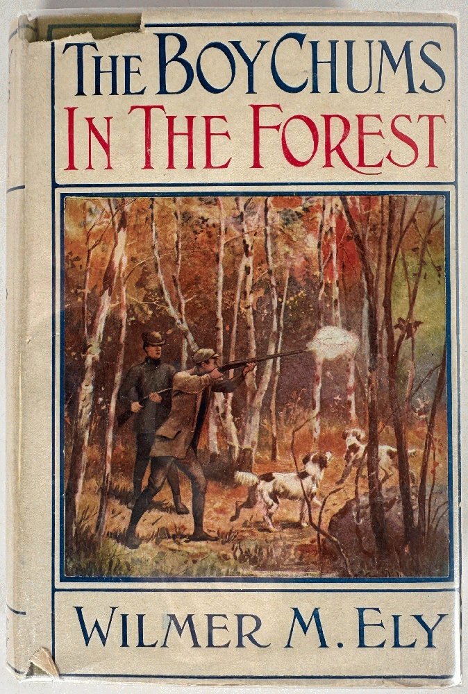 The Boy Chums in the Forest or Hunting for Plume Birds in the Florida Everglades by Wilmer M. Ely