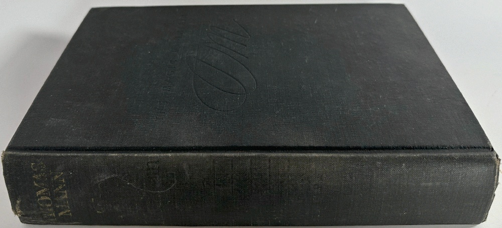 Image for The Magic Mountain: Thomas Mann The Magic Mountain: Thomas Mann