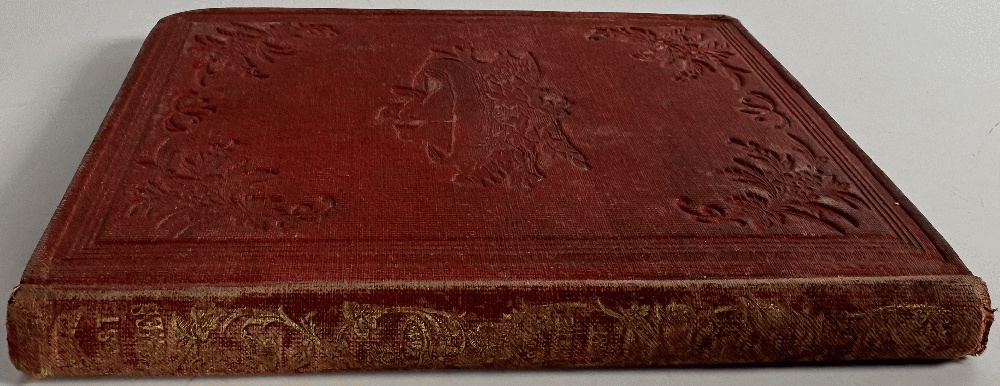 Little Robins in the Nest by Mrs. Madeline Leslie