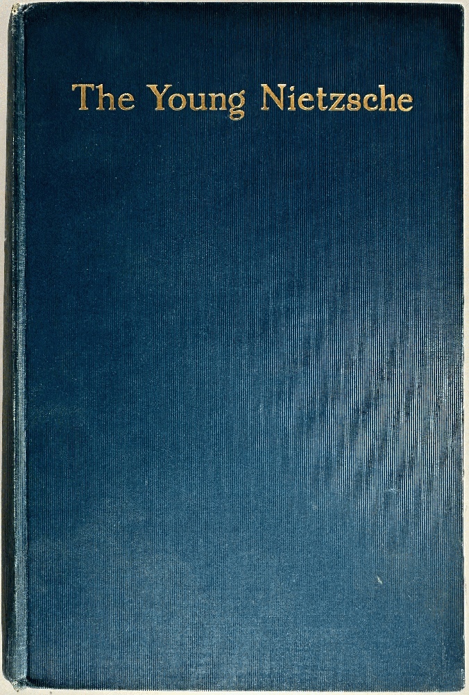 The Young Nietzsche by Frau Forster-Nietzsche
