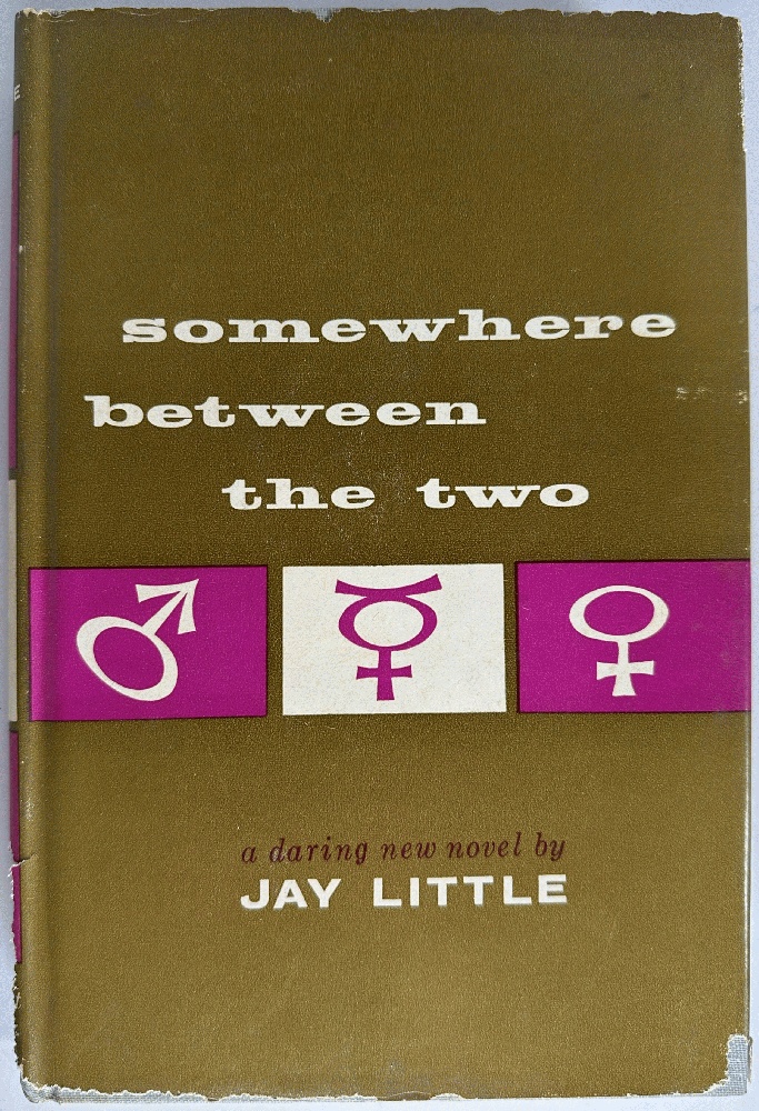 Somewhere Between the Two, A Novel by Jay Little