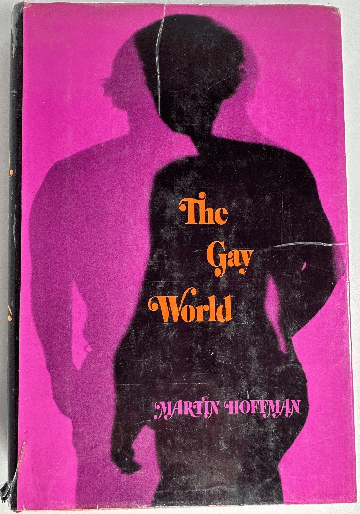 The Gay World: Male Homosexuality and the Social Creation of Evil