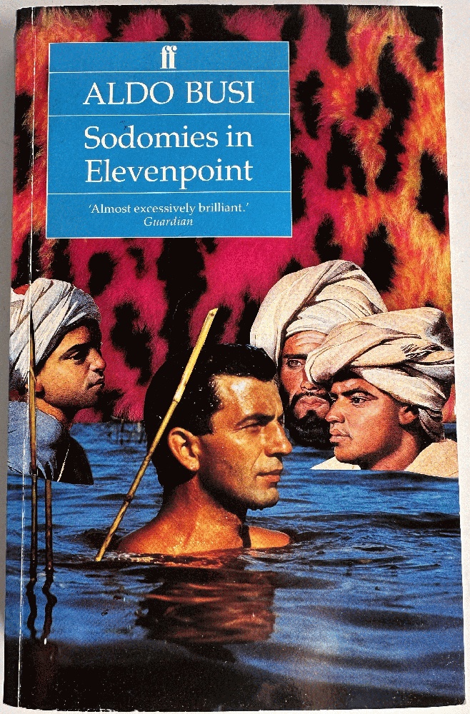 Sodomies in Elevenpoint: Aldo Busi