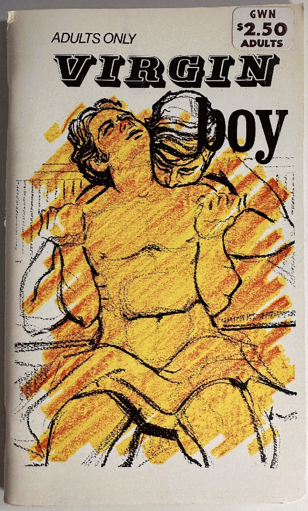 Virgin Boy by Dan Breaker