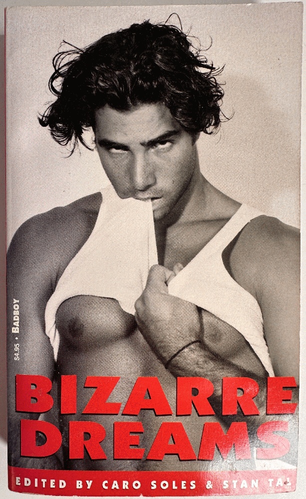 Image for Bizarre Dreams, Edited by Caro Soles and Stan Tal Bizarre Dreams, Edited by Caro Soles and Stan Tal