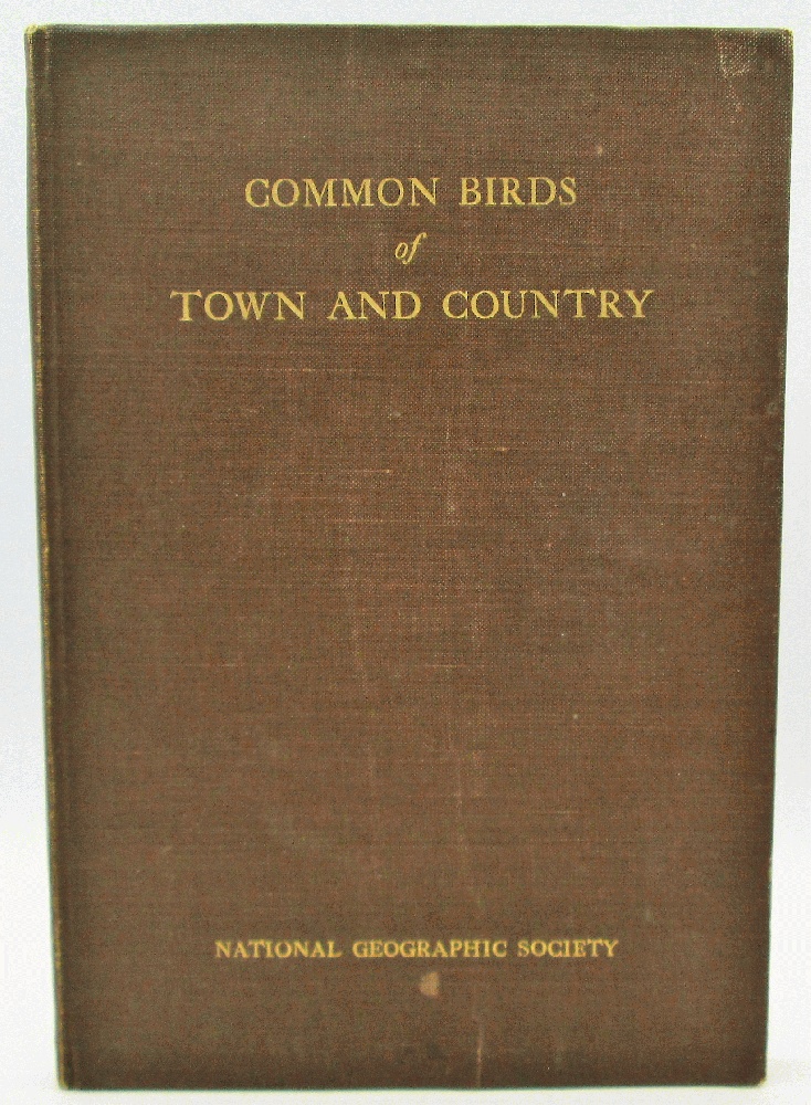 Image for Common Birds of Town and Country