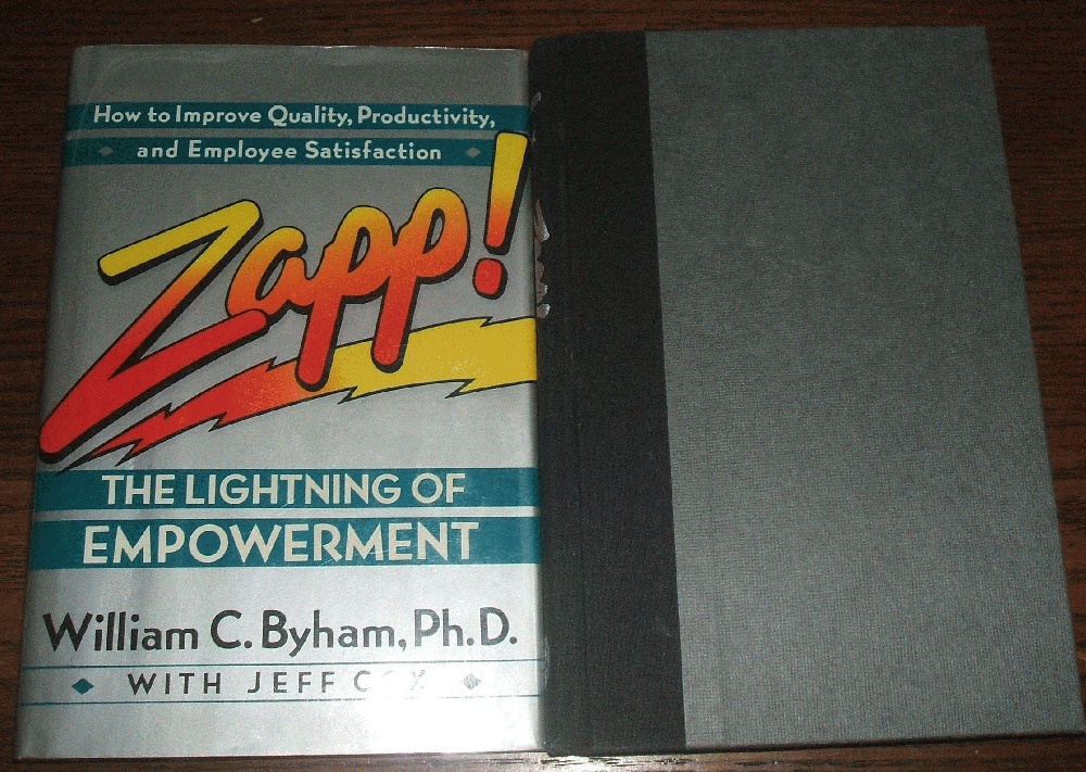 Zapp!: The Lightning of Empowerment