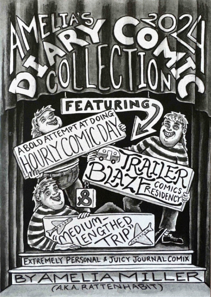 Amelia's 2024 Diary Comic Collection