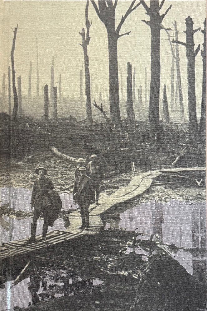 In Flanders Fields: The 1917 Campaign