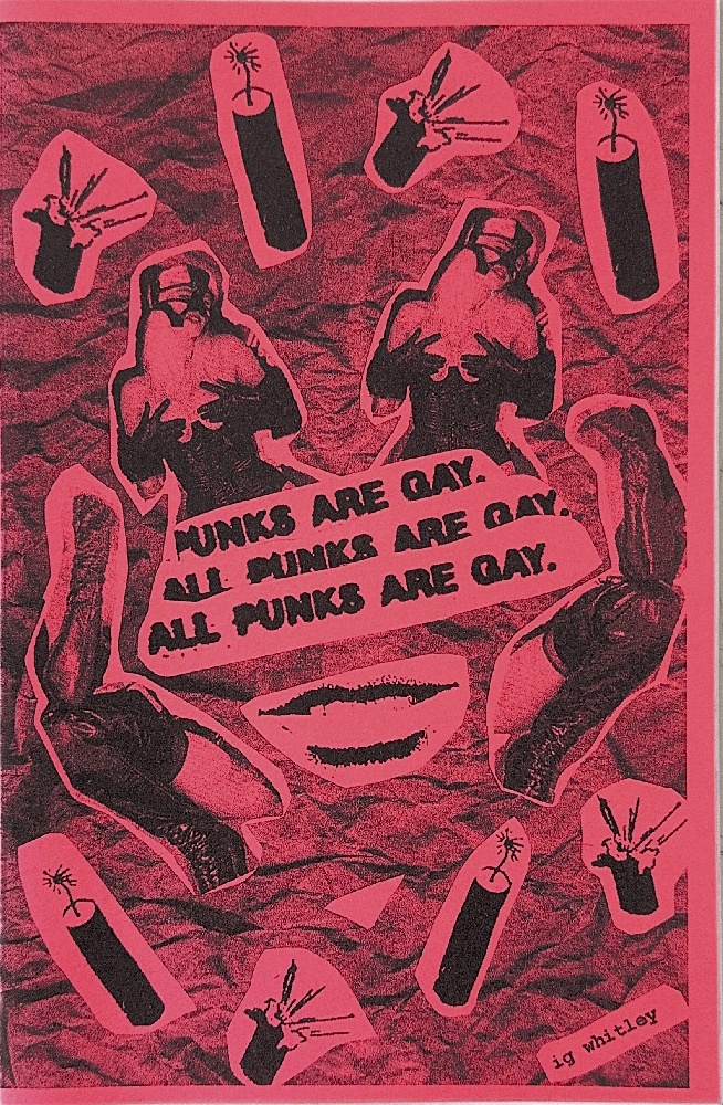 All Punks Are Gay