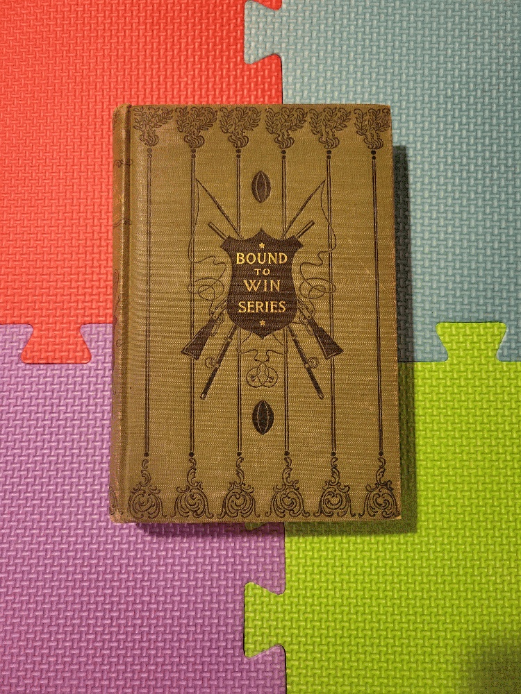 Image for Bound To Be An Electrician, Or, Franklin Bell's Success