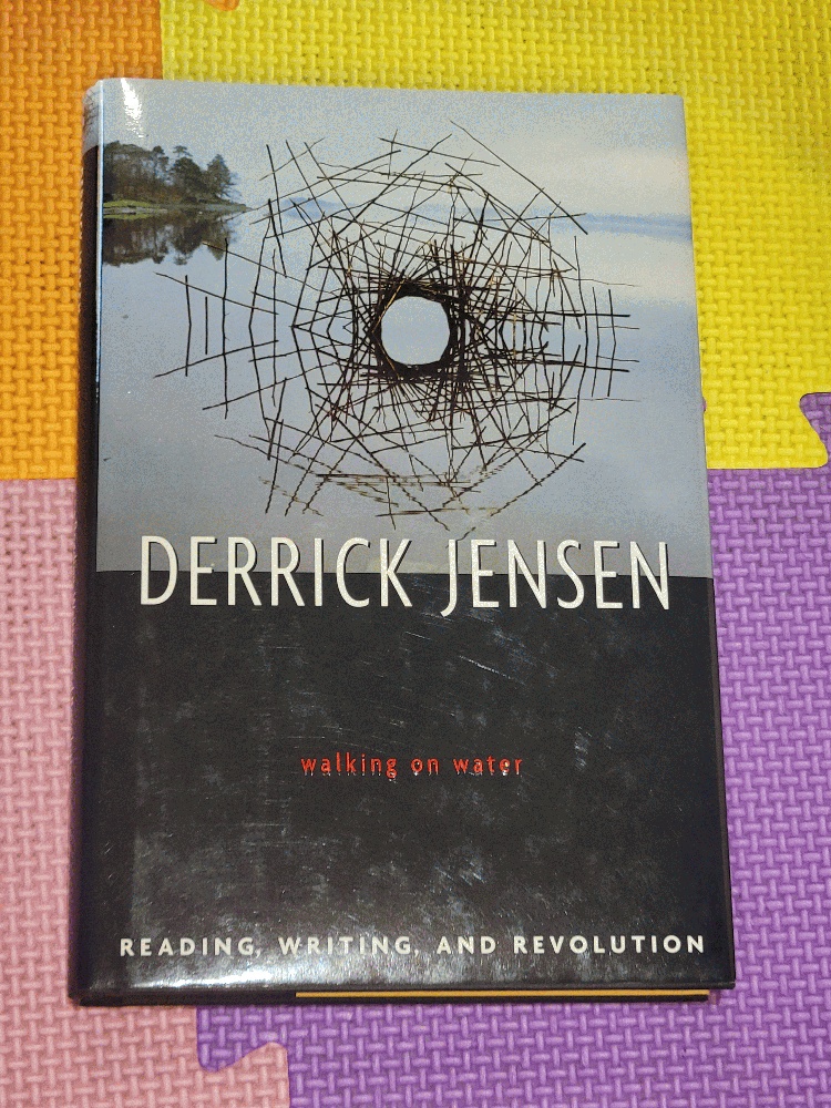 Image for Walking on Water: Reading, Writing, and Revolution