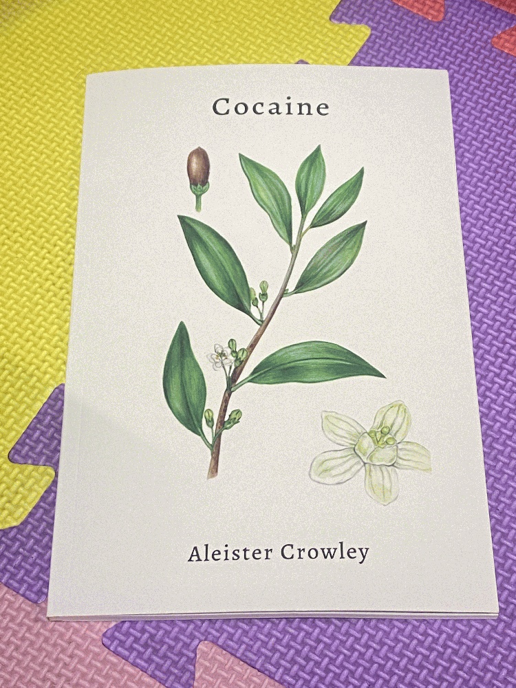 Image for Cocaine
