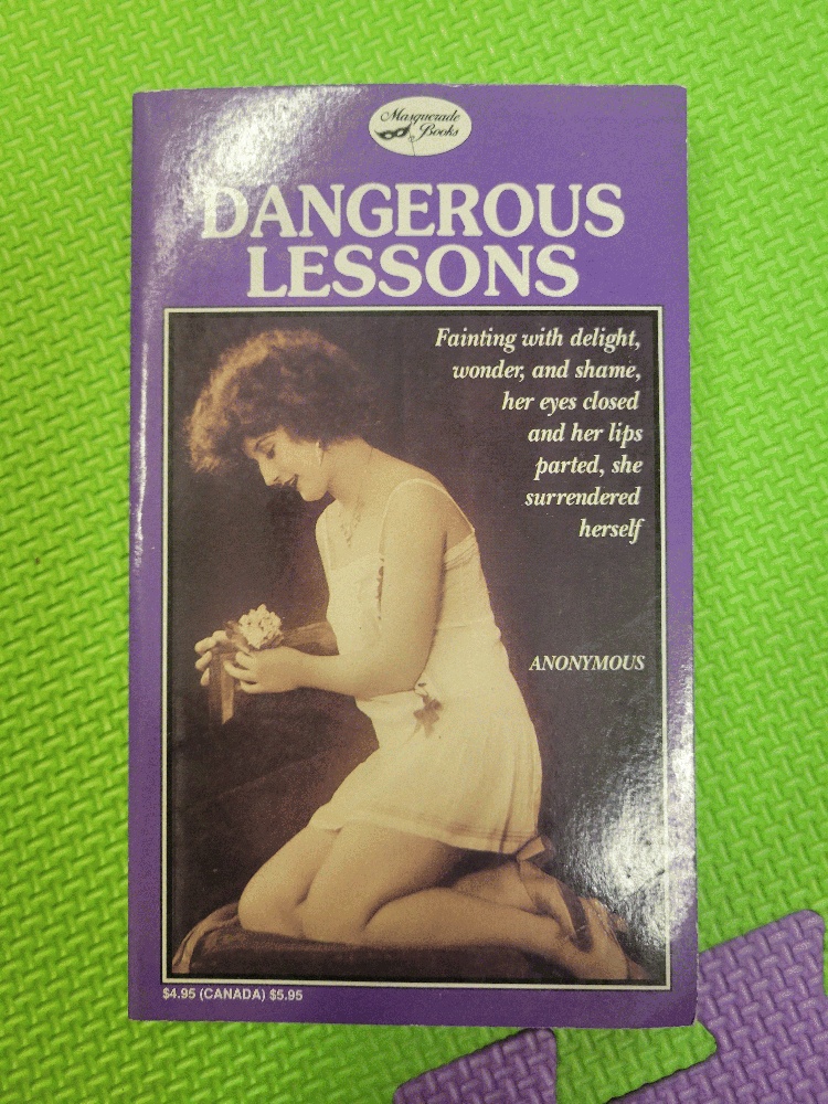 Image for Dangerous Lessons
