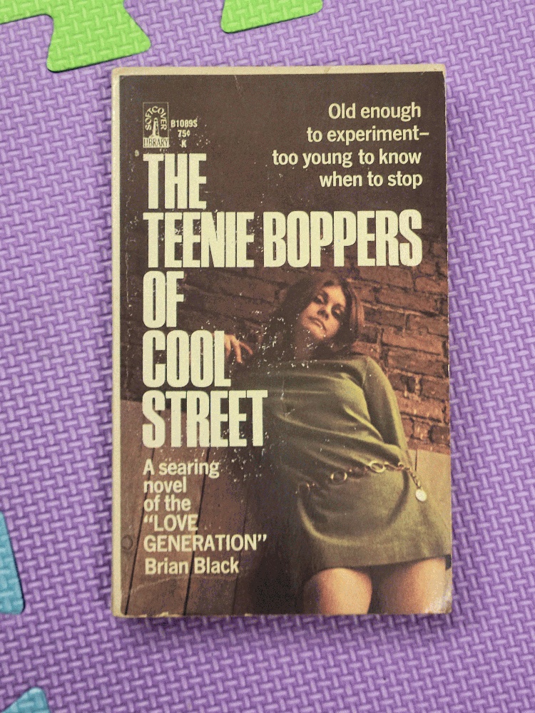 Image for The Teenie Boppers of Cool Street