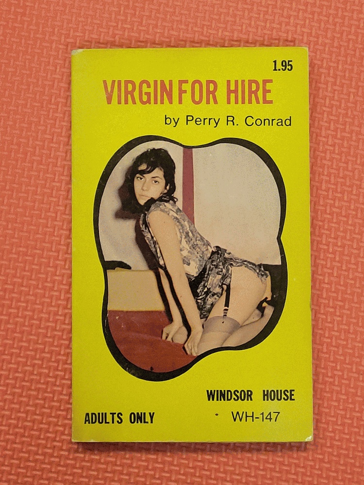 Image for Virgin For Hire