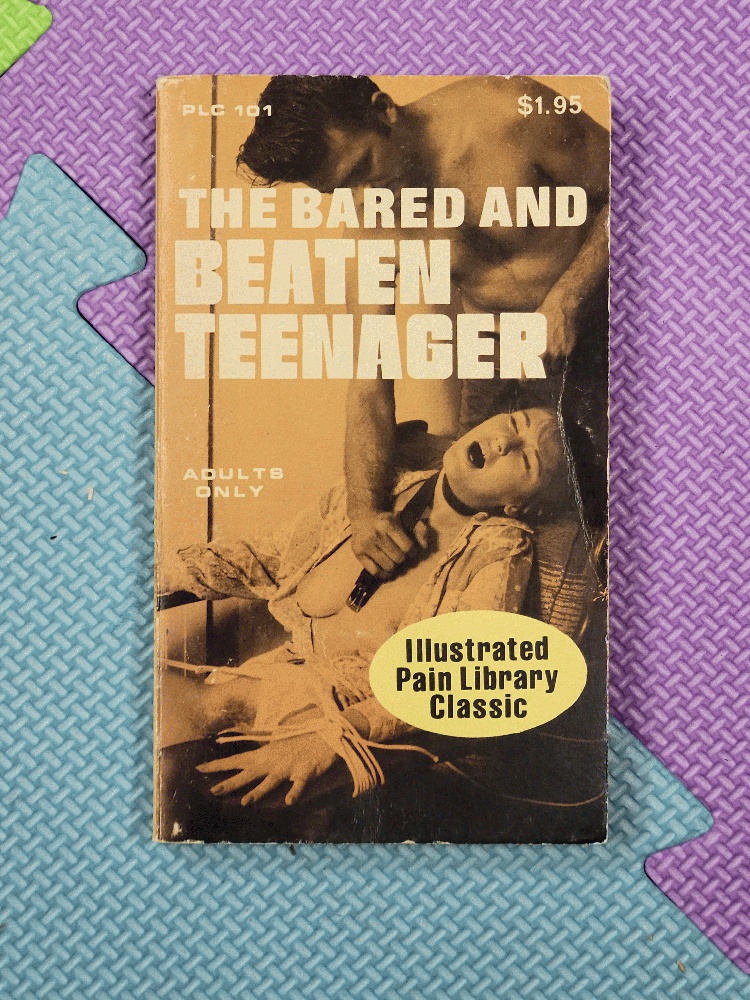 Image for The Bared And Beaten Teenager