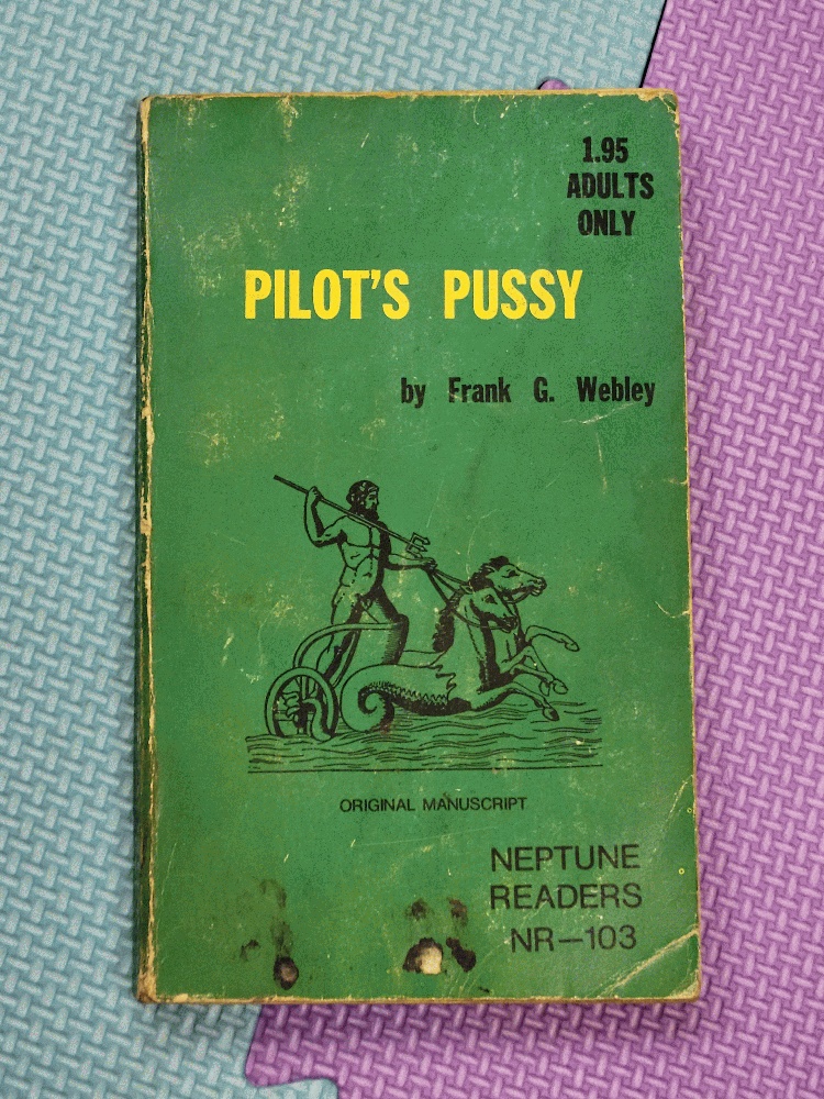 Image for Pilot's Pussy