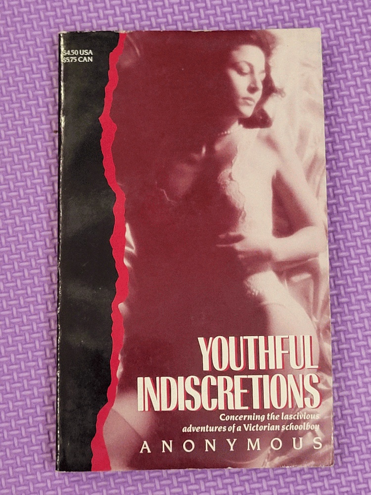 Image for Youthful Indiscretions