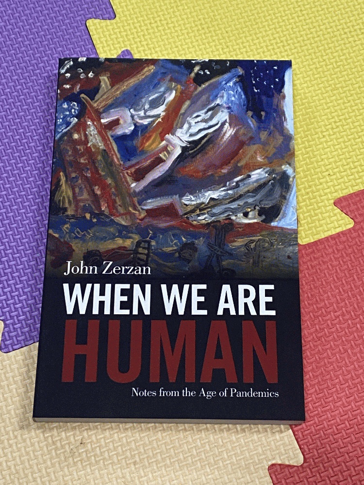 Image for When We Are Human: Notes from the Age of Pandemics