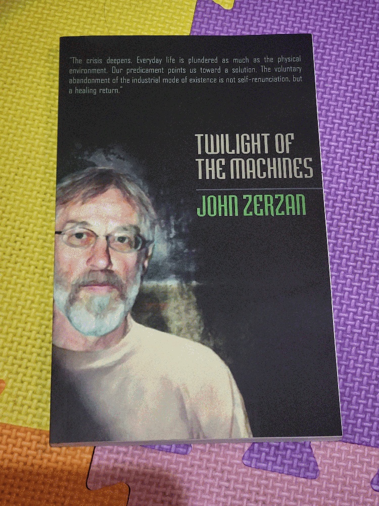 Image for Twilight of the Machines