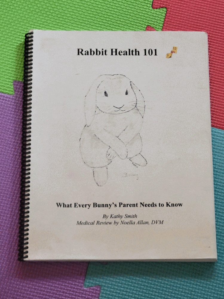 Image for Rabbit Health 101: What Every Bunny's Parent Needs To Know