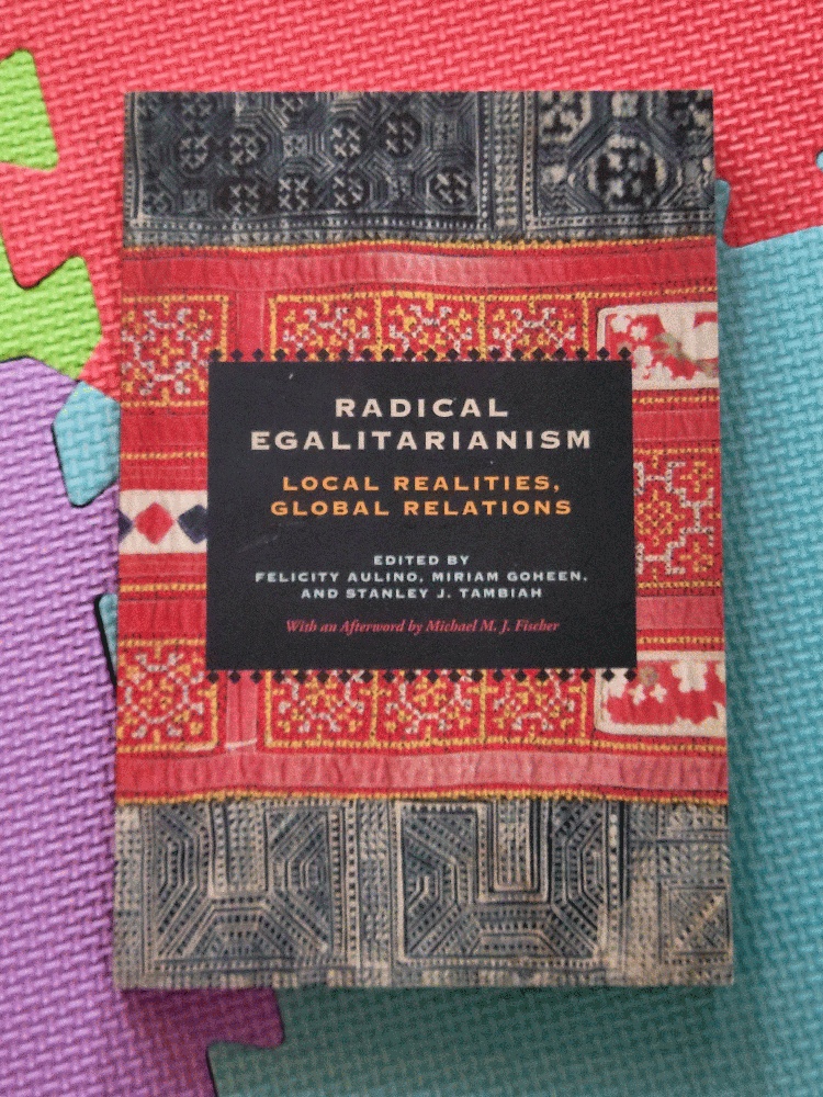 Image for Radical Egalitarianism: Local Realities, Global Relations