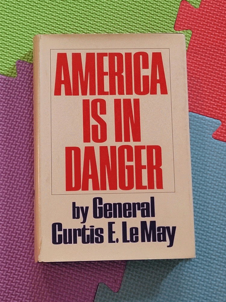 Image for America Is In Danger