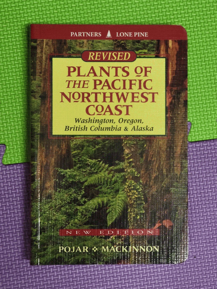 Image for Plants of the Pacific Northwest Coast