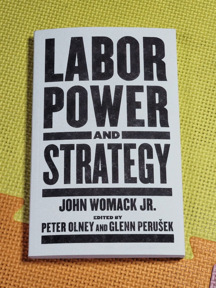 Image for Labor Power And Strategy