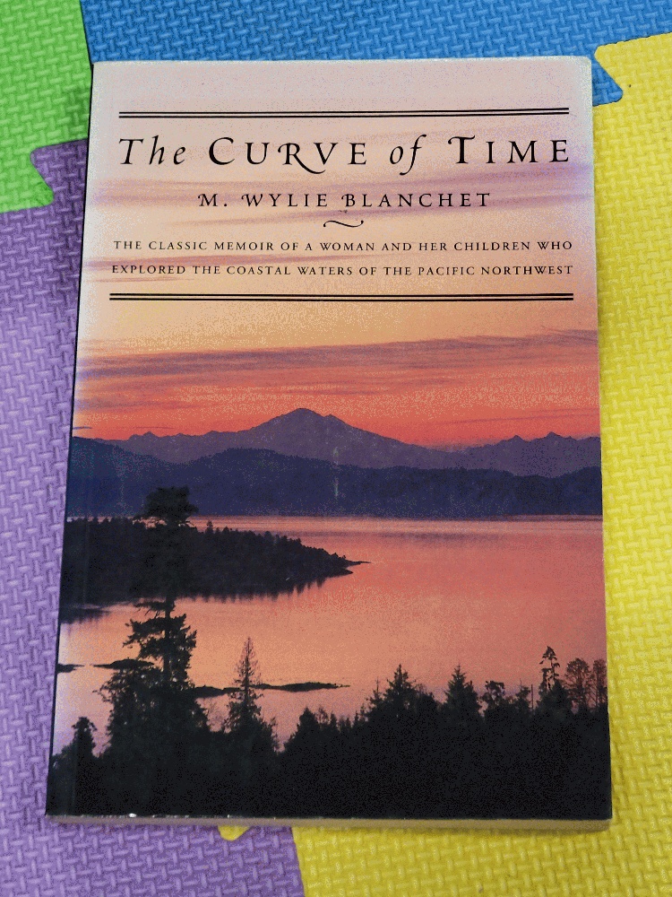 Image for The Curve of Time