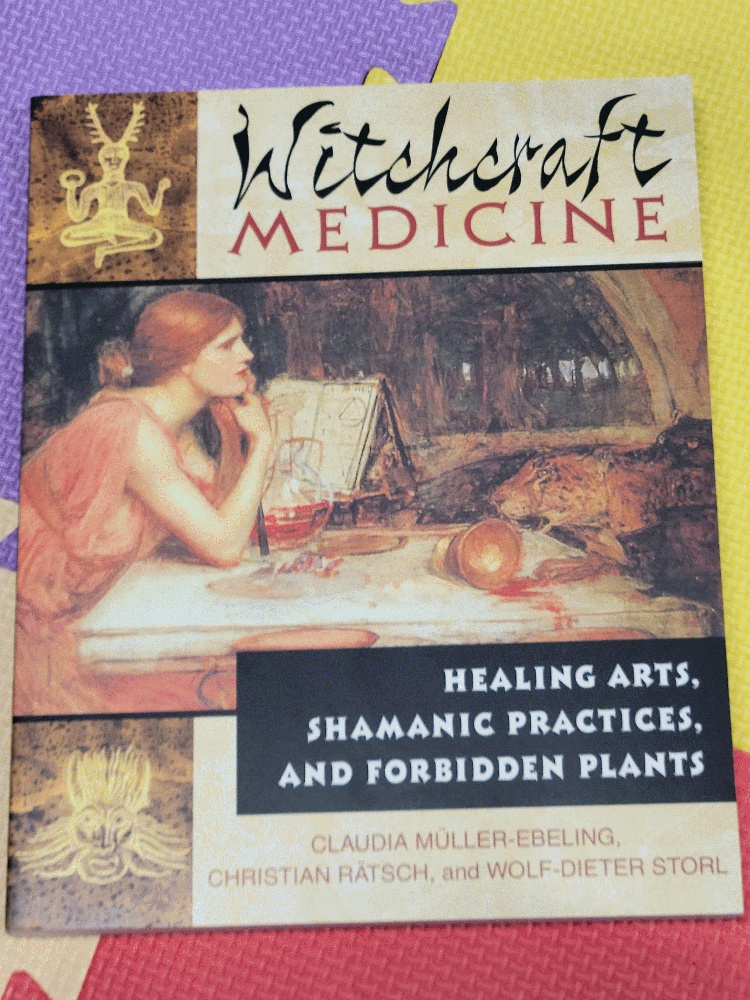 Image for Witchcraft Medicine: Healing Arts, Shamanic Practices, and Forbidden Plants