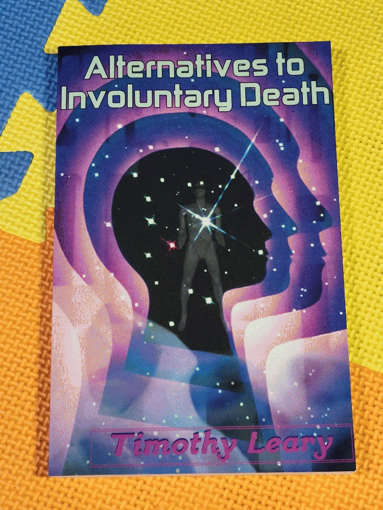 Image for Alternatives To Involuntary Death
