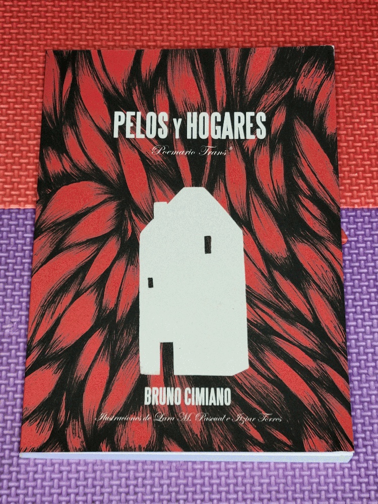 Image for Pelos Y Hogares: Poemario Trans
