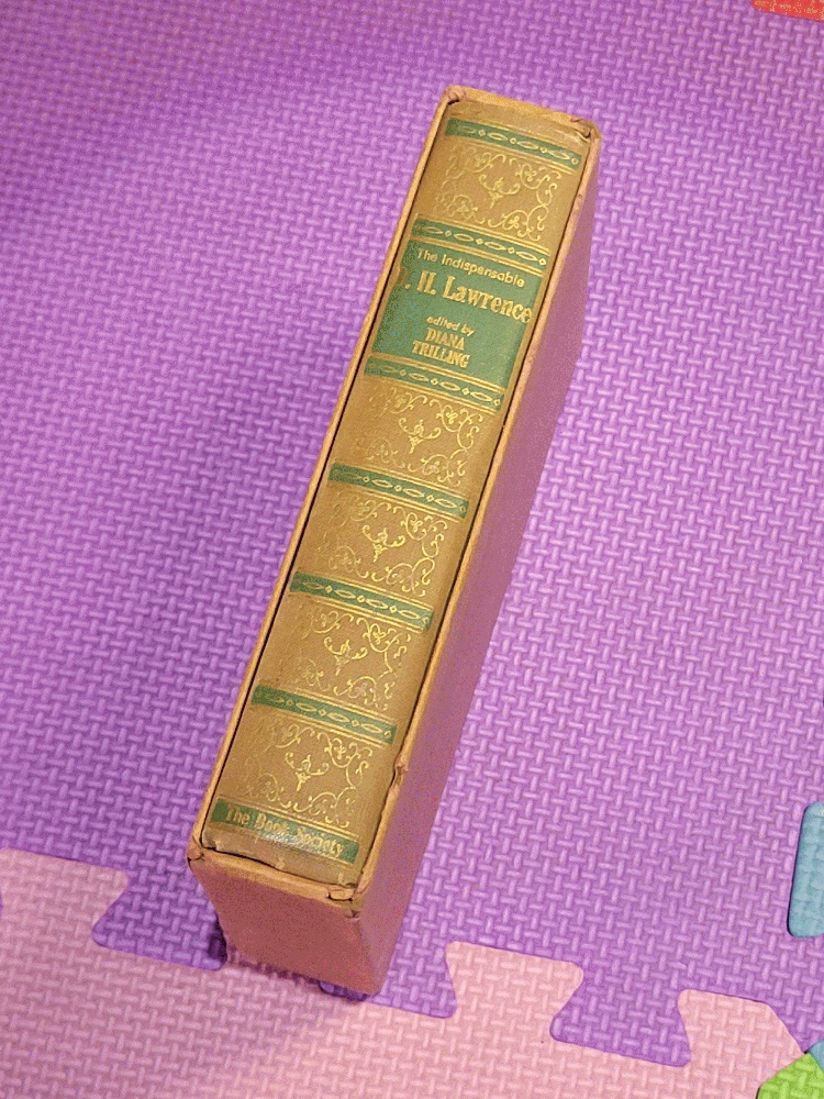 Image for The Indispensible D.H. Lawrence